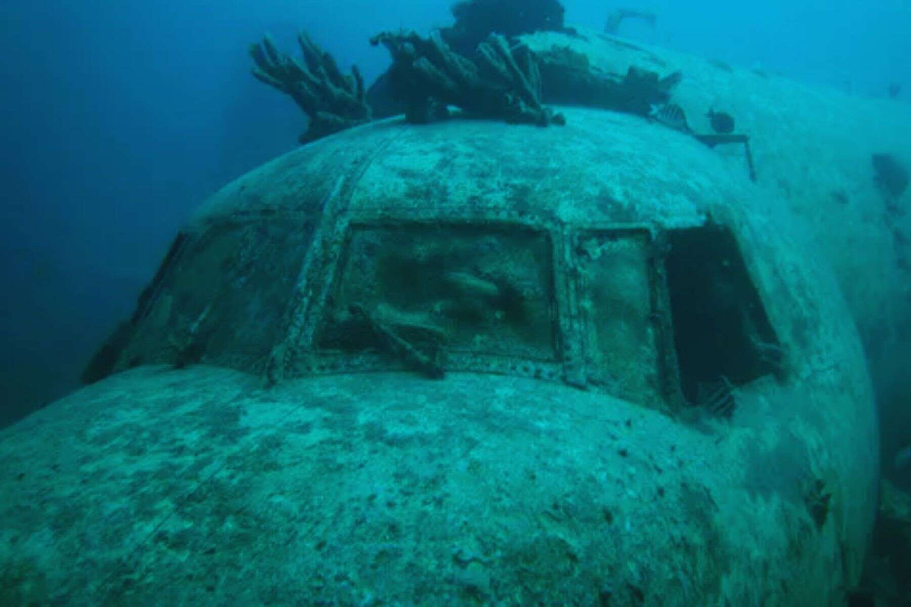 All Inclusive Adults Only Resorts In Aruba Renaissance Island