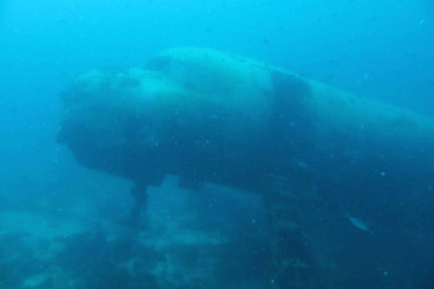 All Inclusive Family Resorts In Aruba Renaissance Island Airplane