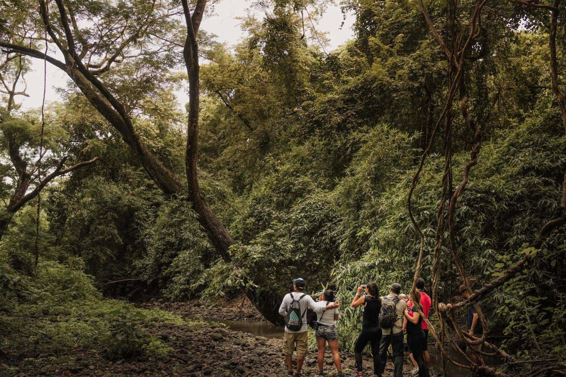 Andaz Costa Rica At Peninsula Papagayo Hiking