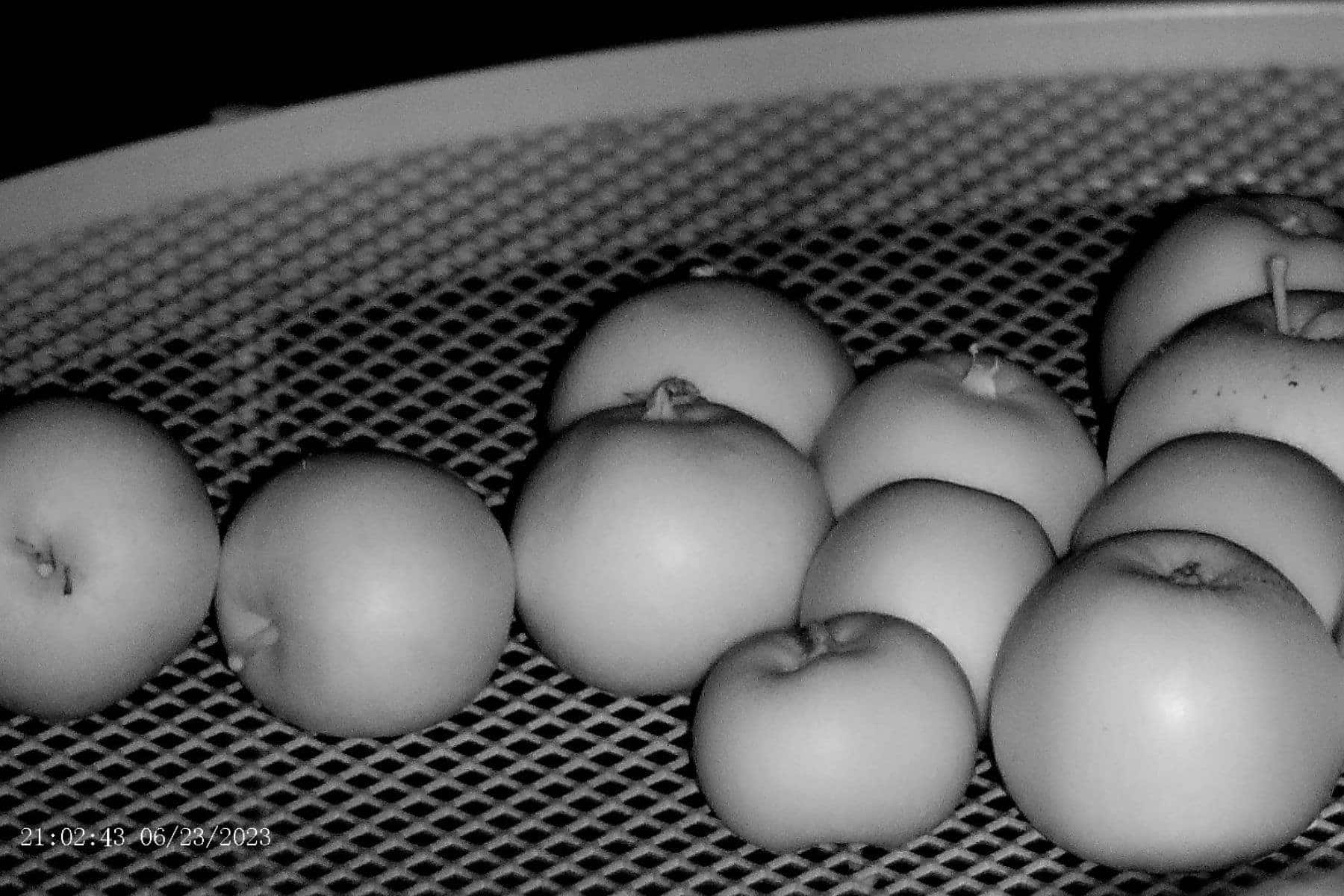 Apexel Digital Night Vision Apples