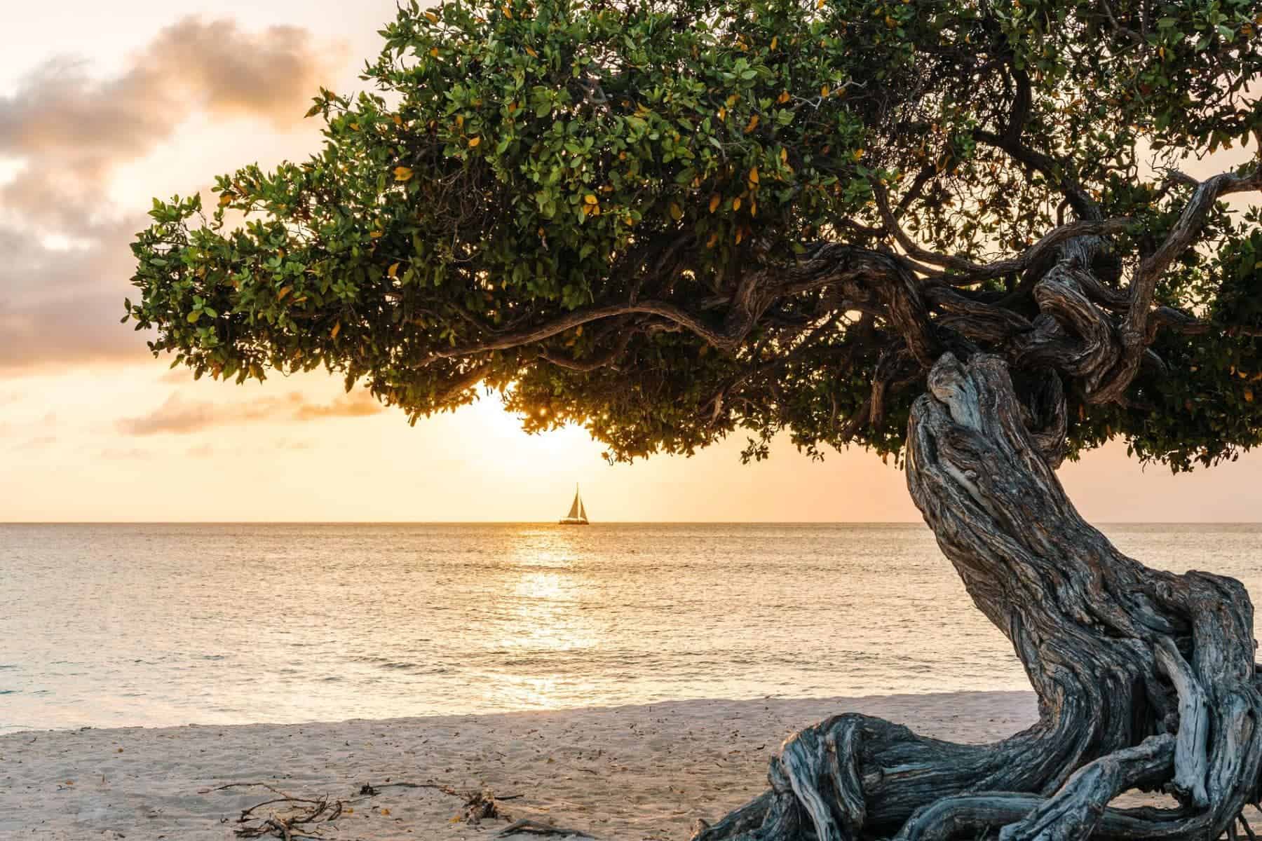 Aruba Visitors Guide