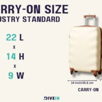 Carry-on Luggage Size