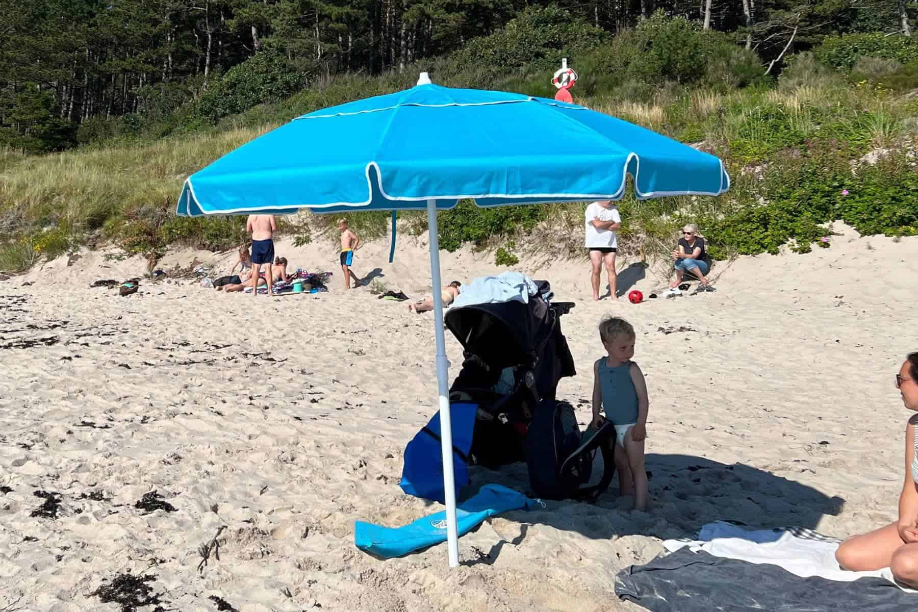 Dig Git Beach Umbrella At Beach