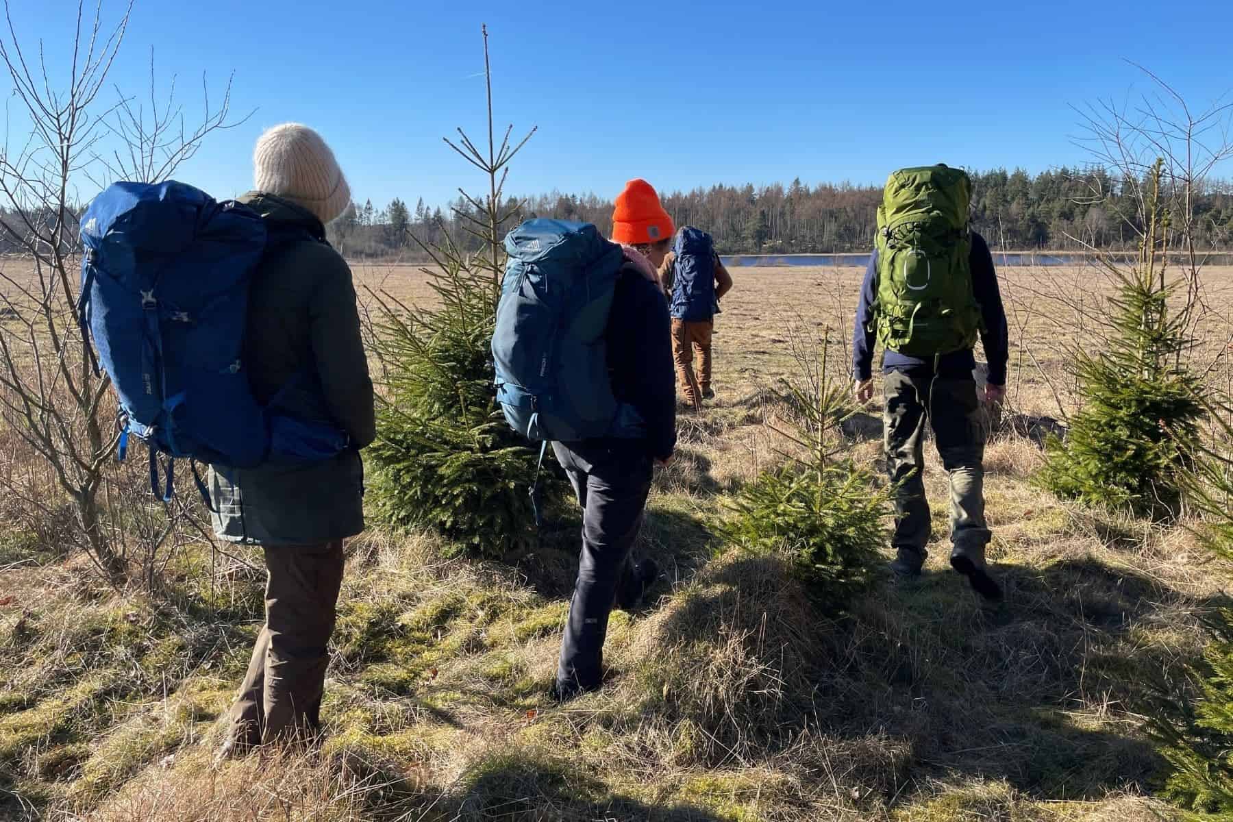 hiking-backpack-field-walking
