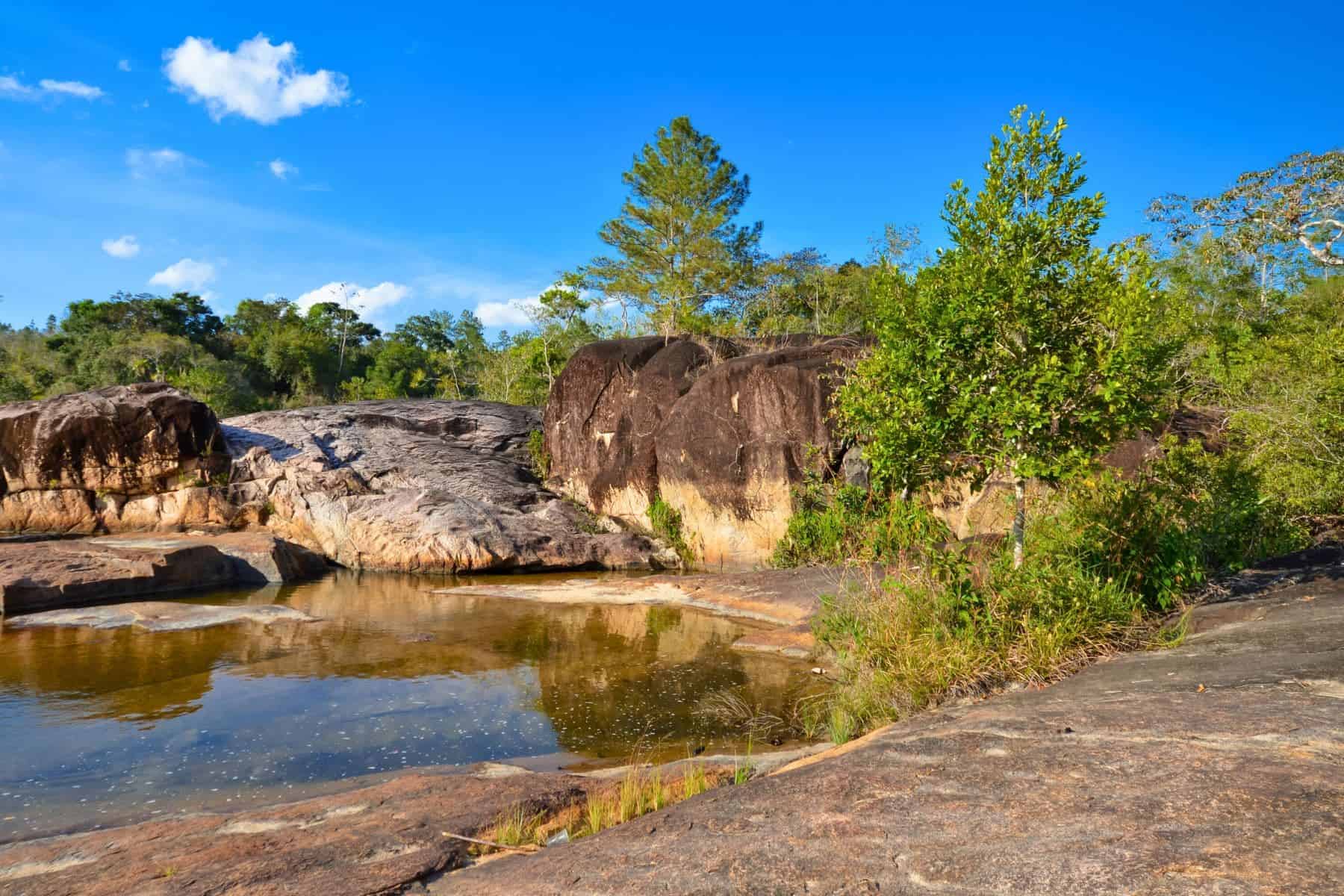 Most Beautiful Places In Belize Mountain Pine