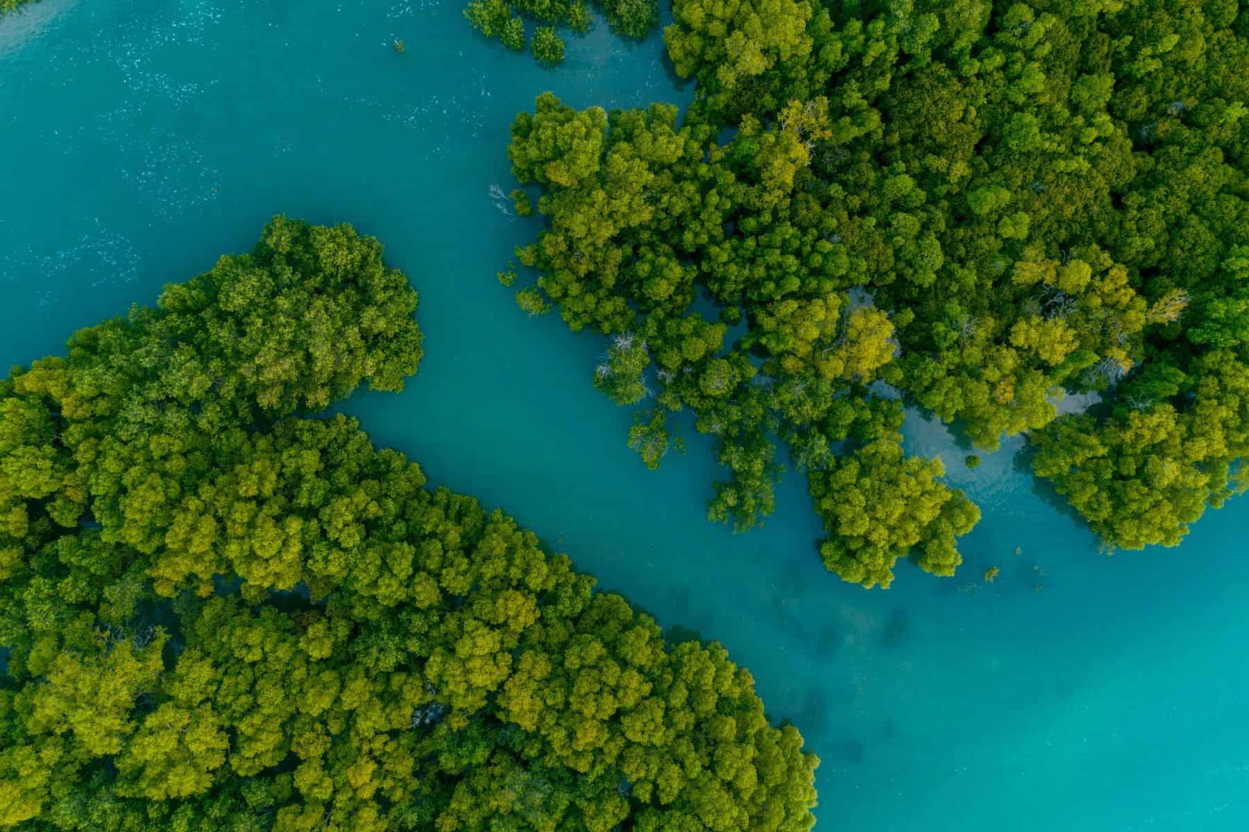 paddling-guide-to-turks-and-caicos-aerial