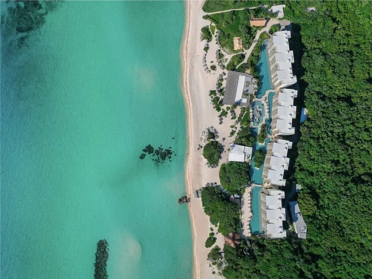 Palmaia Birds Eye View