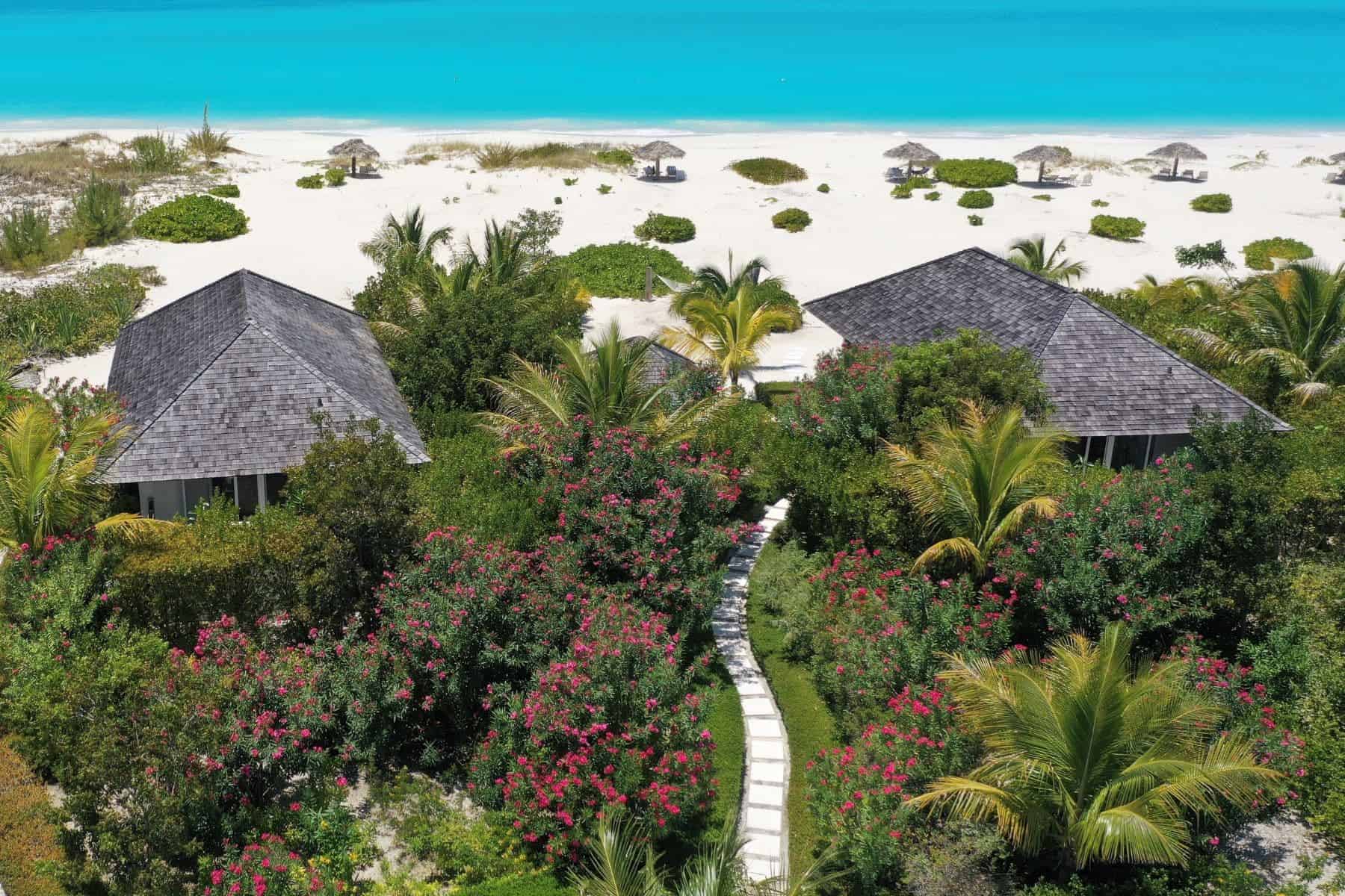 pine-cay-turks-and-caicos-nature