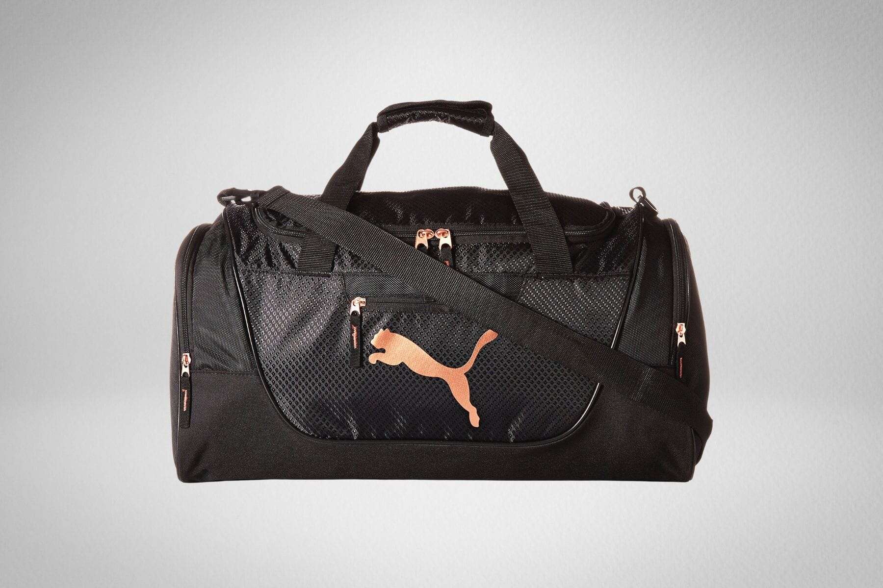 Puma Evercat Candidate