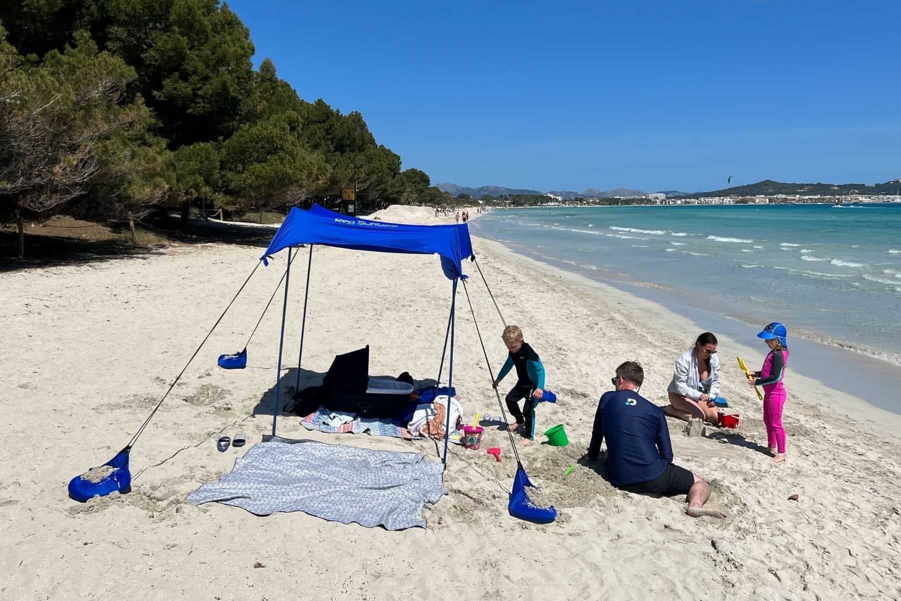 Red Suricata Beach Family On Beach