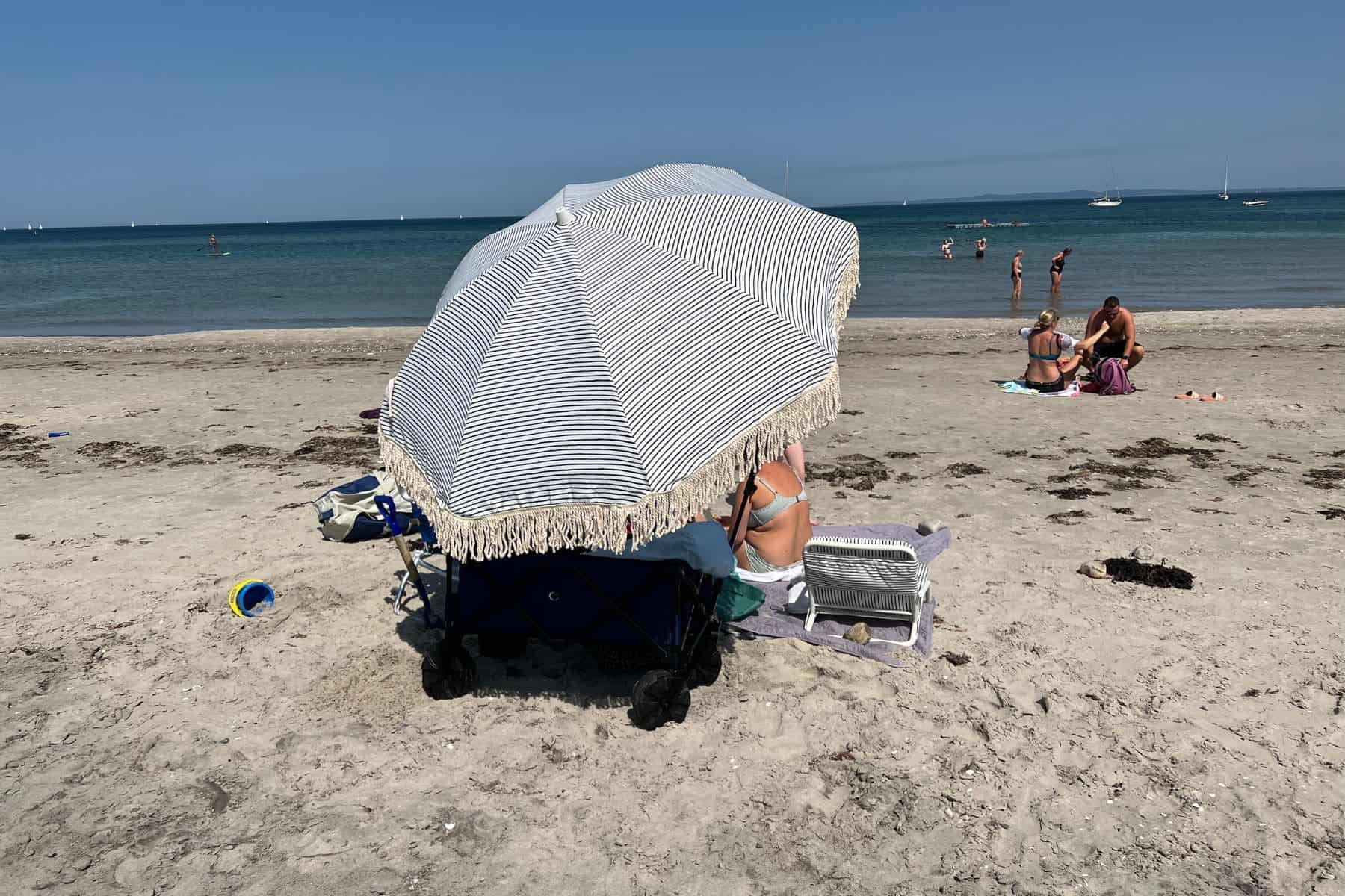 Sunday Supply Co. Natural Instinct