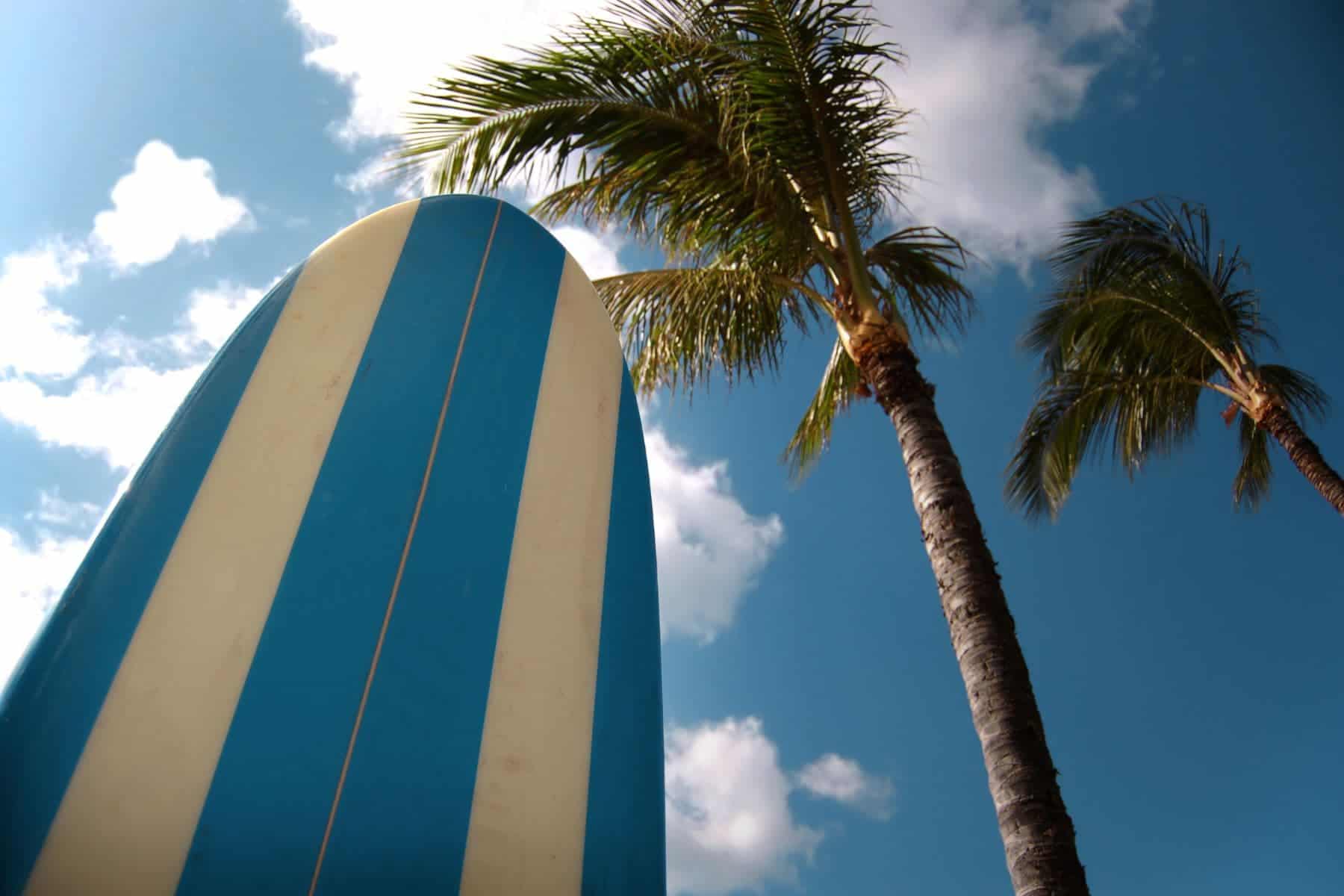 Surfboards Usually Cost Soft Top