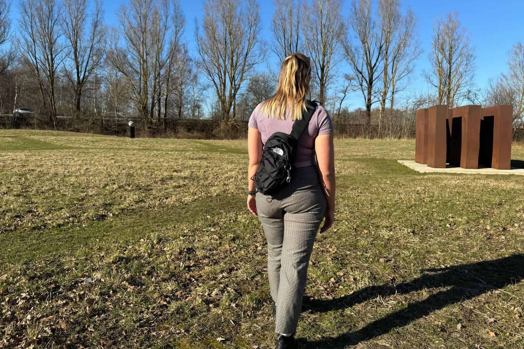 the-north-face-borealis-sling-back-view