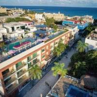 The Palm At Playa Aerial View